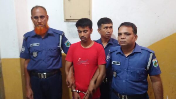 বগুড়ায় স্ত্রীকে হত্যার দায়ে স্বামীর মৃত্যুদণ্ড