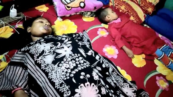 বগুড়ায় মেয়েকে হত্যার পর মায়ের আত্মহত্যা