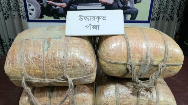 বগুড়ায় ২২ কেজি গাঁজাসহ ২ মাদক পাচারকারী গ্রেফতার