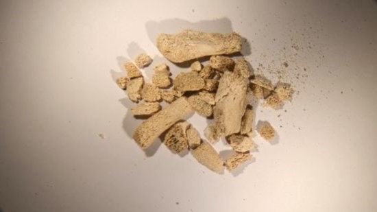 ৭৫ হাজার বছর আগের দেহাবশেষের সন্ধান