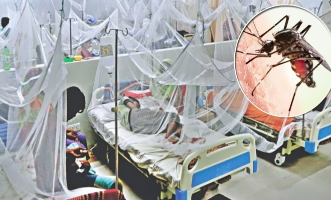 বরগুনায় বাড়ছে ডেঙ্গুর প্রকোপ: আক্রান্ত ছাড়াল ৫৮০০
