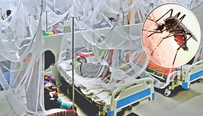 বরগুনায় বাড়ছে ডেঙ্গুর প্রকোপ: আক্রান্ত ছাড়াল ৫৮০০