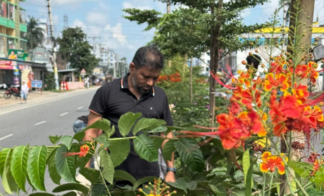 কুষ্টিয়ার সবুজায়নে বিএনপি নেতা ইঞ্জিনিয়ার জাকির এর অনন্য উদ্যোগ