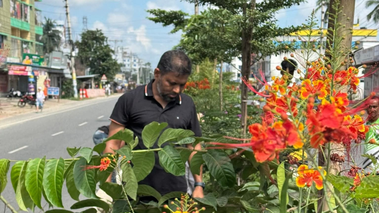 কুষ্টিয়ার সবুজায়নে বিএনপি নেতা ইঞ্জিনিয়ার জাকির এর অনন্য উদ্যোগ