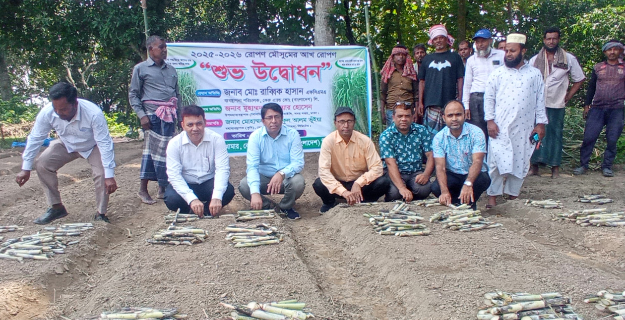 কেরু এ্যান্ড কোম্পানীর ৯টি বাণিজ্যিক খামারে আখ রোপণ মৌসুমের উদ্বোধন