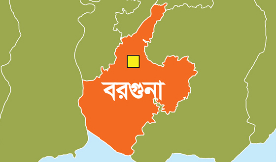 বরগুনায় বিদ্যুস্পৃষ্ট হয়ে বৃদ্ধের মৃত্যু
