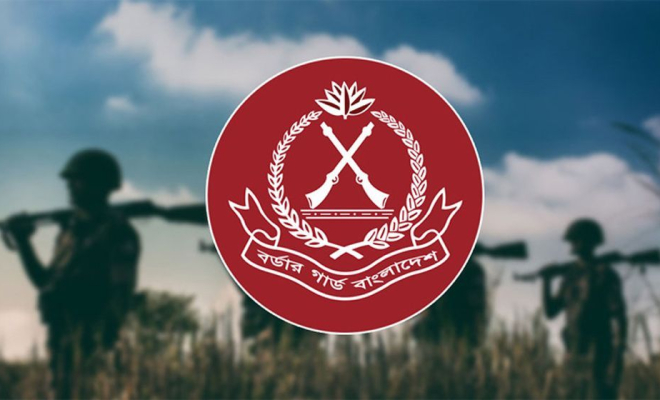বিজিবিতে নতুন ২ হাজার ২৫৮ পদ সৃষ্টি