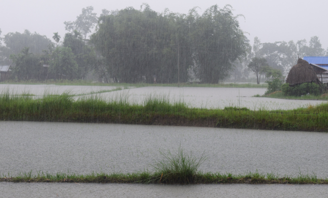 দক্ষিণ বঙ্গোপসাগরে লঘুচাপ, দেশে ভারি বৃষ্টির পূর্বাভাস
