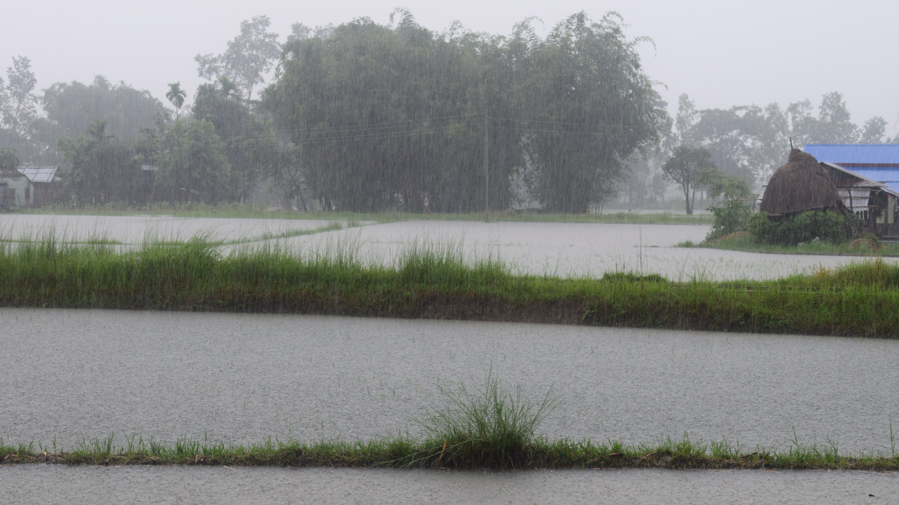 দক্ষিণ বঙ্গোপসাগরে লঘুচাপ, দেশে ভারি বৃষ্টির পূর্বাভাস