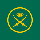 পরোয়ানা জারির পর সেনা হেফাজতে ১৫ কর্মকর্তা
