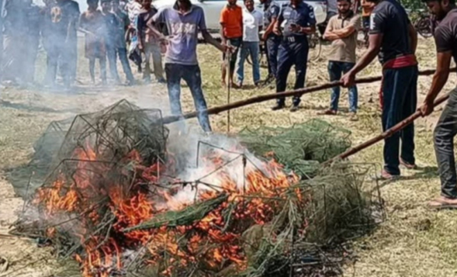 ঝিনাইদহে কালীগঞ্জে নিষিদ্ধ চায়না জাল পুড়িয়ে ধ্বংস করেছে প্রশাসনঝিনাইদহে কালীগঞ্জে নিষিদ্ধ চায়না জাল পুড়িয়ে ধ্বংস করেছে প্রশাসন