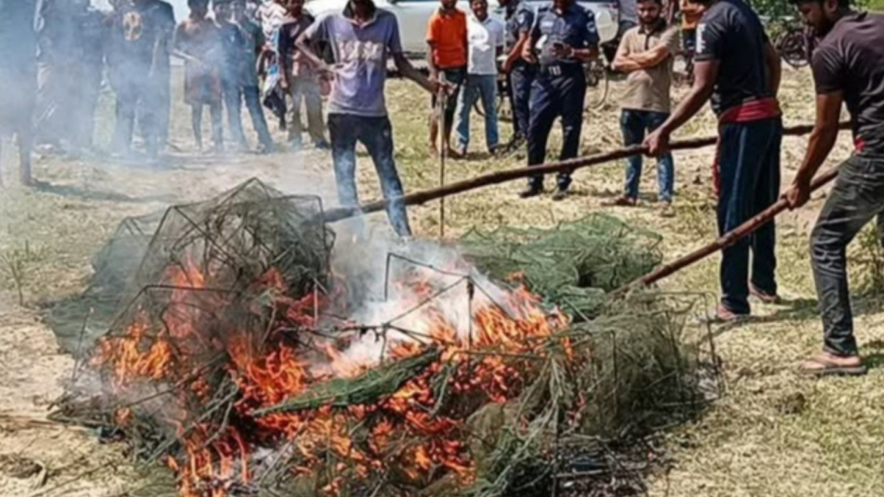 ঝিনাইদহে কালীগঞ্জে নিষিদ্ধ চায়না জাল পুড়িয়ে ধ্বংস করেছে প্রশাসনঝিনাইদহে কালীগঞ্জে নিষিদ্ধ চায়না জাল পুড়িয়ে ধ্বংস করেছে প্রশাসন