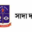 ২০% বাড়িভাড়া ও তিন দাবি এমপিওভুক্ত শিক্ষকদের মৌলিক অধিকার: ঢাবি সাদা দল