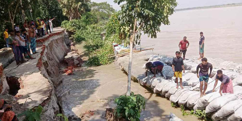 নড়াইলে মধুমতির তীব্র ভাঙনের মুখে চাচই-ধানাইড় সড়ক